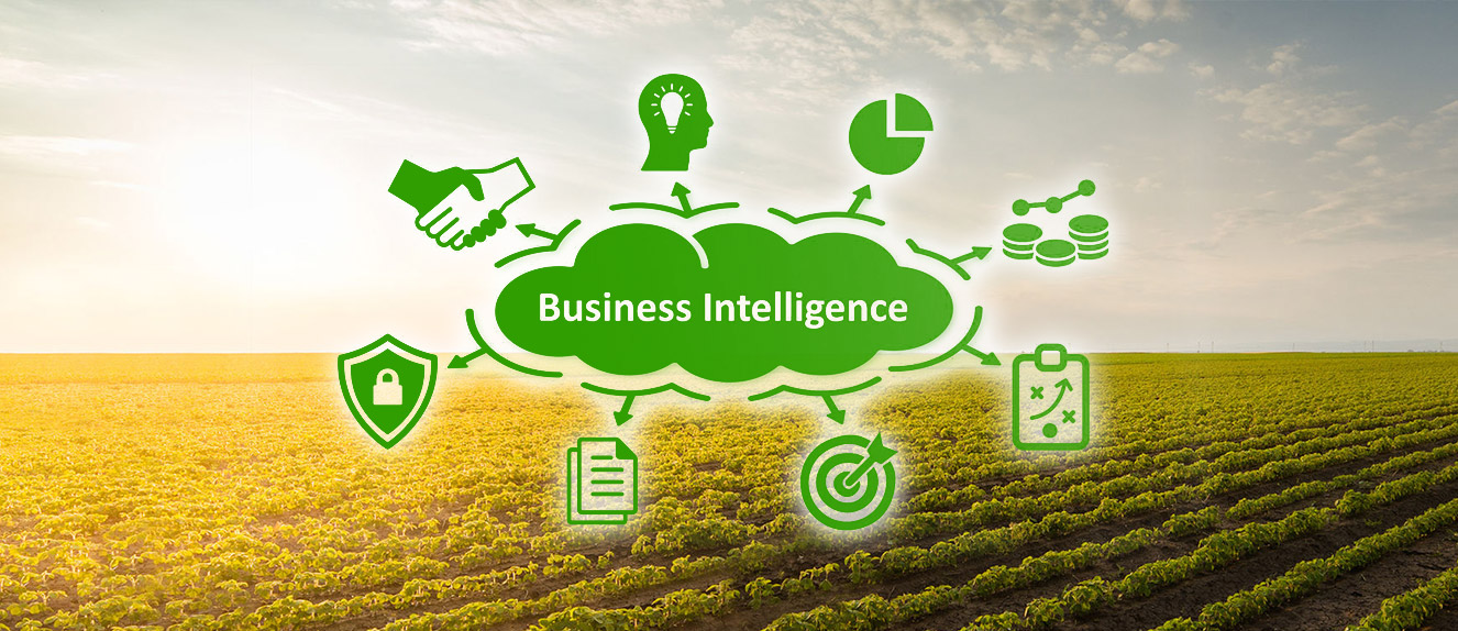 Business Intelligence para otimizar o desempenho das atividades rurais